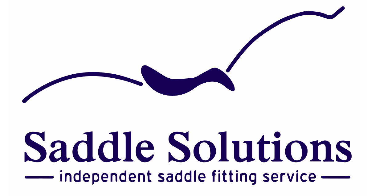 Saddle Solutions